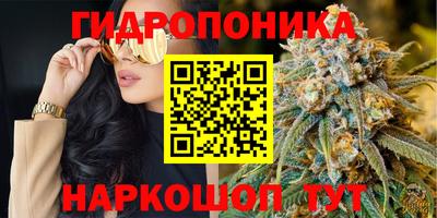 PSILOCYBIN Бугуруслан