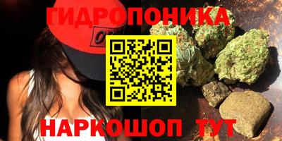 PSILOCYBIN Бугуруслан