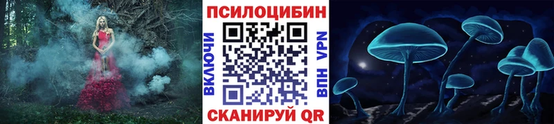 Псилоцибиновые грибы прущие грибы  купить   Тара 