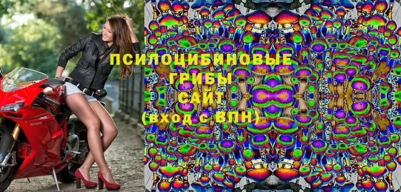 OMG зеркало  Тара  Псилоцибиновые грибы мухоморы 