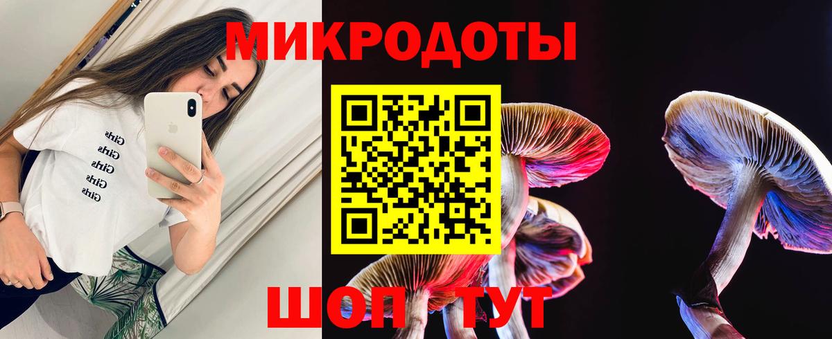 Псилоцибиновые грибы ЛСД  Тара  Галлюциногенные грибы Psilocybe 