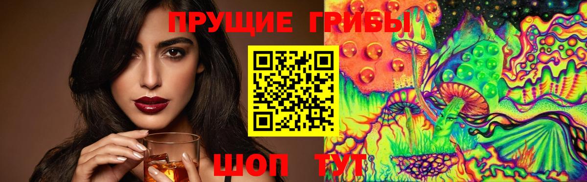 Галлюциногенные грибы Cubensis  Вход с VPN  Тара 